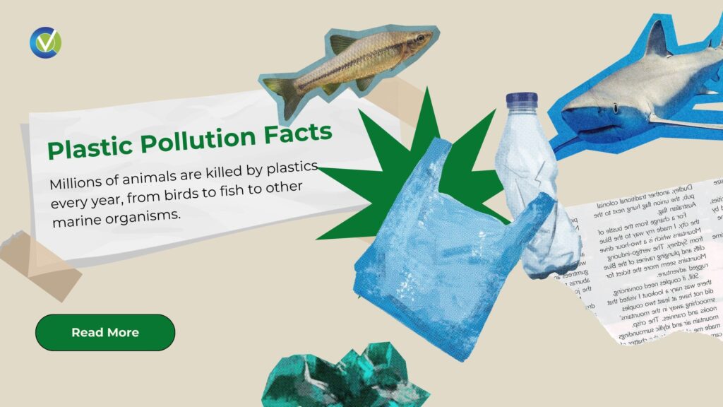 Plastic pollution awareness on World Environment Day promoting sustainable alternatives and environmental protection